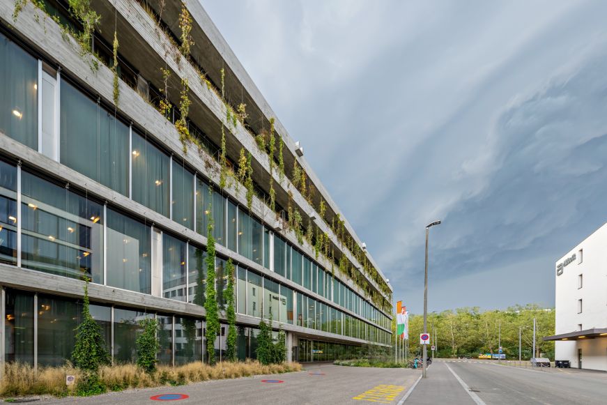 Swiss Tropical and Public Health Institute